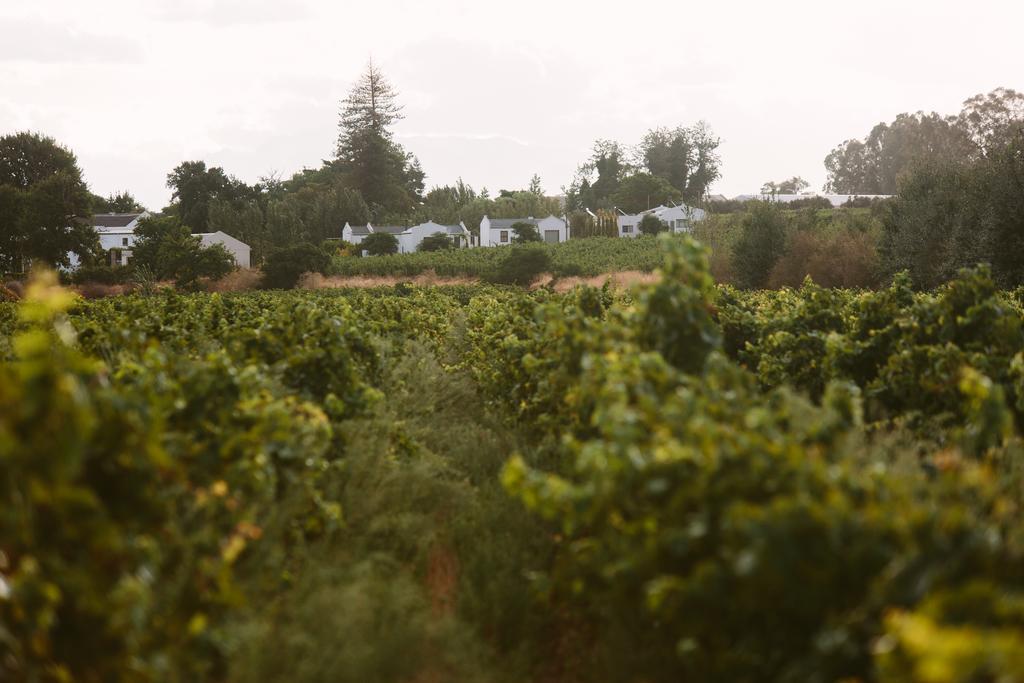 Leipzig Country House & Winery Nuy Luaran gambar
