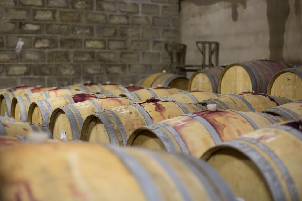 Leipzig Country House & Winery Nuy Luaran gambar